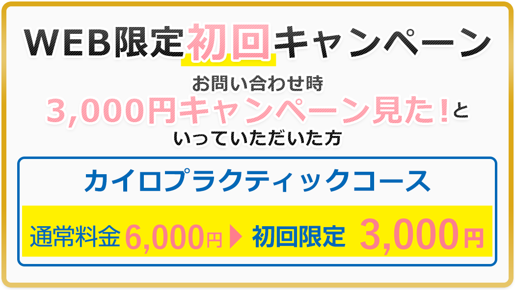 WEB限定初回キャンペーン料金